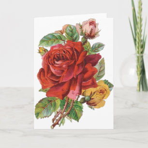 Festiva Tarjeta de felicitación diaria para Rosas de Vinta