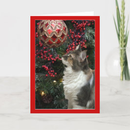 Festiva Tarjeta de felicitación divertida del ornamento