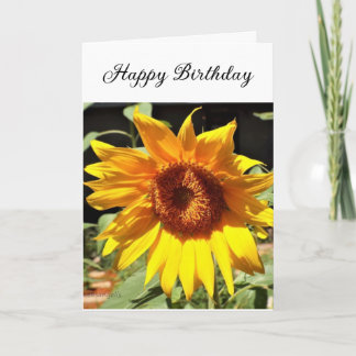 Festiva Tarjeta de felicitación doblada de cumpleaños con 