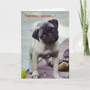 Festiva Tarjeta de felicitación dulce de la tarjeta del