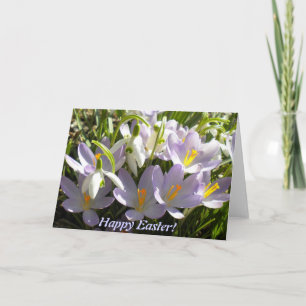 Festiva Tarjeta de felicitación Easter Crocus