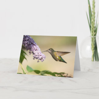 Festiva Tarjeta de felicitación en blanco de Colibrí de An