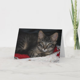 Festiva Tarjeta de felicitación en blanco para Navidades d