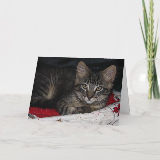 Festiva Tarjeta de felicitación en blanco para Navidades d (Anverso)