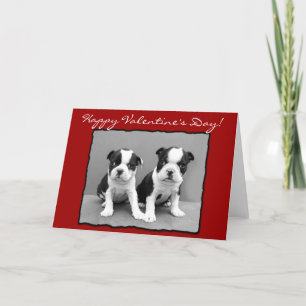 Festiva Tarjeta de felicitación feliz de Boston Terrier