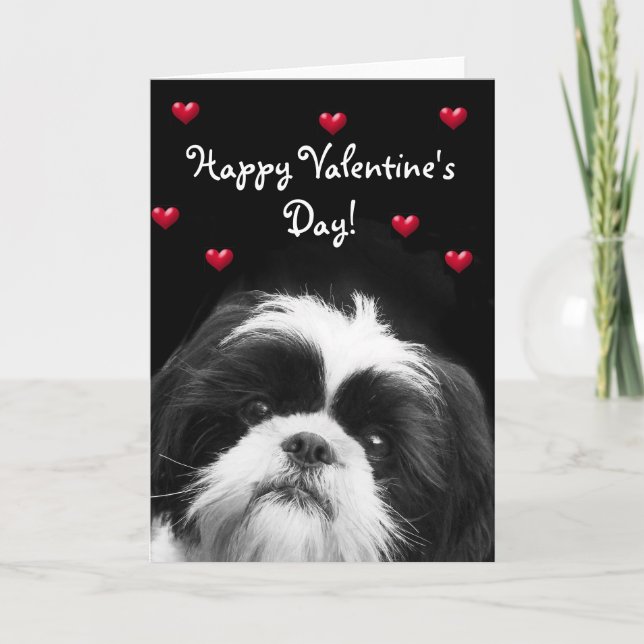 Festiva Tarjeta de felicitación feliz de Shih Tzu del el (Anverso)