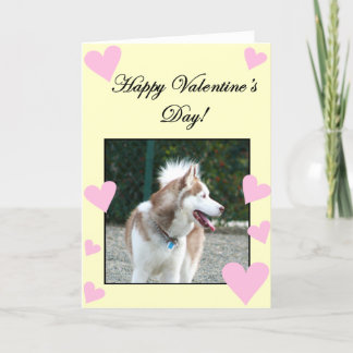 Festiva Tarjeta de felicitación feliz del husky siberiano