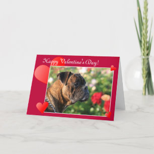 Festiva Tarjeta de felicitación feliz del perro del