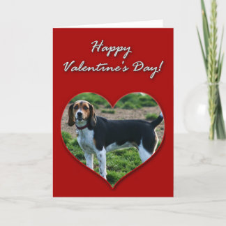 Festiva Tarjeta de felicitación feliz del perro del beagle