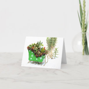 Festiva Tarjeta de felicitación llenada Succulent del día