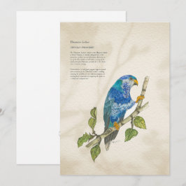 Festiva Tarjeta de felicitación Lorikeet Pintada A Mano En
