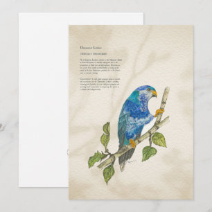 Festiva Tarjeta de felicitación Lorikeet Pintada A Mano En