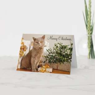 Festiva Tarjeta de felicitación Meowy Merry Christmas Cat