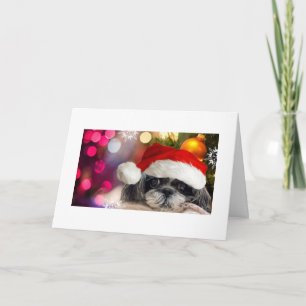 Festiva Tarjeta de felicitación Merry Christmas Shih Tzu