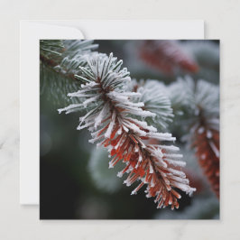 Festiva Tarjeta de felicitación navideña de Abeto Frase Es