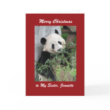 Tarjeta de felicitación navideña de Feliz Panda, F