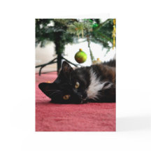 Tarjeta de felicitación para gatos de navidades