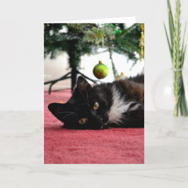 Festiva Tarjeta de felicitación para gatos de navidades