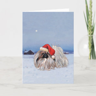 Festiva Tarjeta de felicitación para Navidades de Pekín