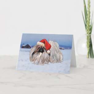 Festiva Tarjeta de felicitación para Navidades de Pekín