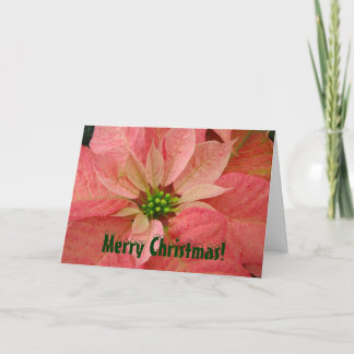 Festiva Tarjeta de felicitación para Navidades de Poinsett