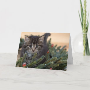 Festiva Tarjeta de felicitación para Navidades gatos cálid