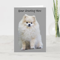 Tarjeta de felicitación pomerana