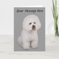 Tarjeta de felicitación preciosa de Bichon Frise