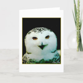 Festiva Tarjeta de felicitación Snowy Owl Blank