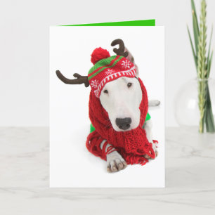 Festiva Tarjeta de Felicitaciones Navideñas-Bull Terrier d