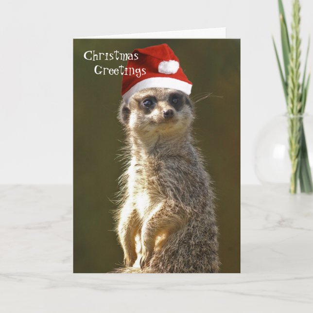 Festiva Tarjeta de felicitaciones navideñas de Meerkat (Anverso)