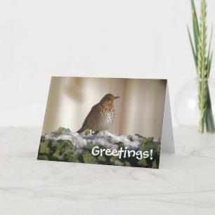 Festiva Tarjeta de felicitaciones Song Thrush