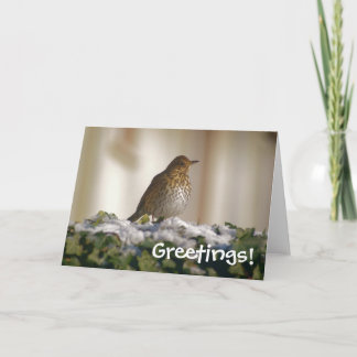 Festiva Tarjeta de felicitaciones Song Thrush