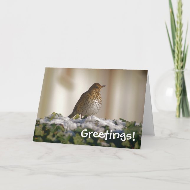 Festiva Tarjeta de felicitaciones Song Thrush (Anverso)