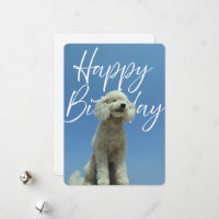 Tarjeta de Feliz Cumpleaños para Amantes de los Pe