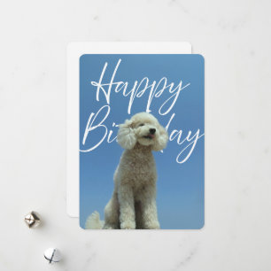 Festiva Tarjeta de Feliz Cumpleaños para Amantes de los Pe