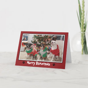 Festiva Tarjeta de feriado para Navidades de perro de merr