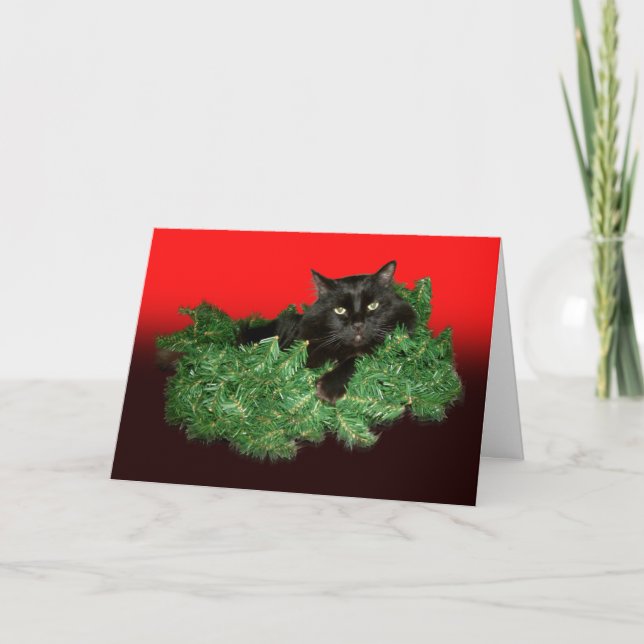 Festiva Tarjeta de festividad para gato Furry (Anverso)