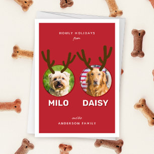 Festiva Tarjeta de festividad para Navidades de Mascotas d