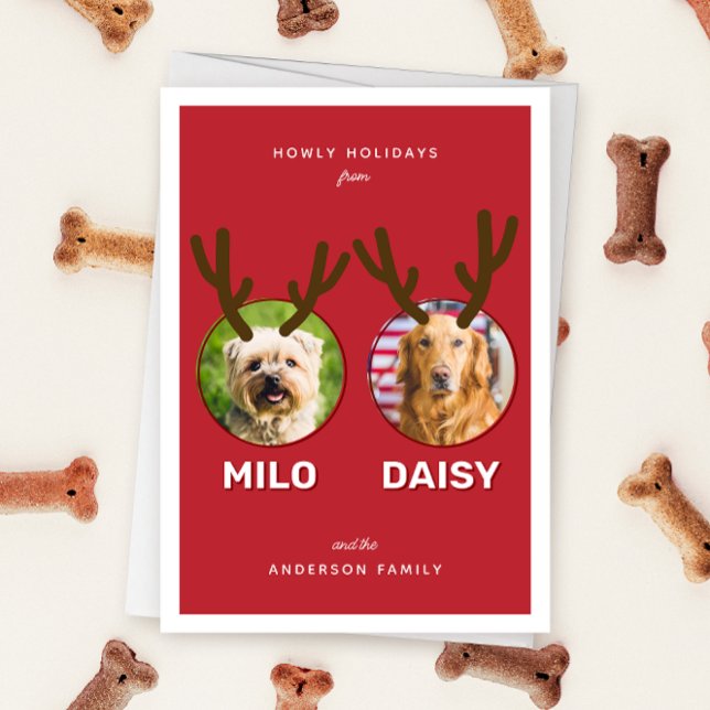 Festiva Tarjeta de festividad para Navidades de Mascotas d (Red two photo pet Christmas holiday card with message "Howly Holidays" with two sets of antlers)