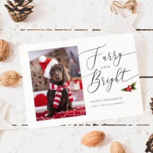 Festiva Tarjeta de festividad para Navidades fotográficos