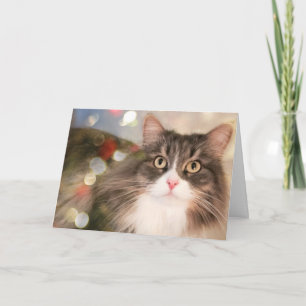 Festiva Tarjeta de festividad personalizada para Navidades