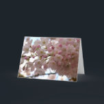 Festiva Tarjeta de Flor de Cerezo Tarjeta de Flor Blanca P<br><div class="desc">Tarjetas de flores blancas bellas tarjetas de flores de flores de cerezo blanco e impresiones tarjetas e impresiones personalizadas para Navidades Cumpleaños Simpatía Enhorabuena Tarjetas de flores blancas personalizadas Obtén tarjetas y pinturas de flores blancas por www.kimhunter.ca</div>