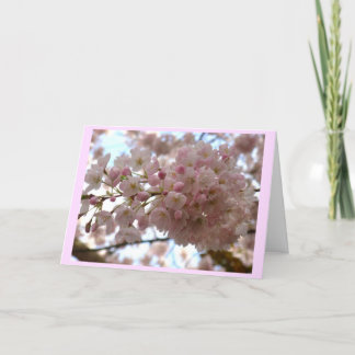 Festiva Tarjeta de Flor de Cerezo Tarjeta de Flor Blanca P