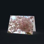 Festiva Tarjeta de Flor de Cerezo Tarjeta de Flor Blanca P<br><div class="desc">Tarjetas de flores blancas bellas tarjetas de flores de flores de cerezo blanco e impresiones tarjetas e impresiones personalizadas para Navidades Cumpleaños Simpatía Enhorabuena Tarjetas de flores blancas personalizadas Obtén tarjetas y pinturas de flores blancas por www.kimhunter.ca</div>