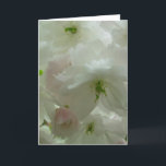 Festiva Tarjeta de Flor de Cerezo Tarjeta de Flor Blanca P<br><div class="desc">Tarjetas de flores blancas bellas tarjetas de flores de flores de cerezo blanco e impresiones tarjetas e impresiones personalizadas para Navidades Cumpleaños Simpatía Enhorabuena Tarjetas de flores blancas personalizadas Obtén tarjetas y pinturas de flores blancas por www.kimhunter.ca</div>