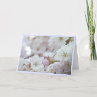 Festiva Tarjeta de Flor de Cerezo Tarjeta de Flor Blanca P