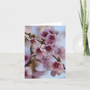 Festiva Tarjeta de flores de cerezo rosa