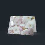 Festiva Tarjeta de flores de cerezo Tarjeta de flores blan<br><div class="desc">Tarjetas de flores blancas bellas tarjetas de flores de magnolia blanca e impresiones tarjetas e impresiones personalizadas para Navidades Cumpleaños Simpatía Enhorabuena Tarjetas de flores blancas Obtén tarjetas de flores blancas y fotos de www.kimhunter.ca</div>