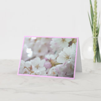 Festiva Tarjeta de flores de cerezo Tarjeta de flores blan